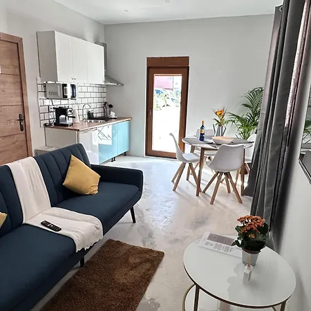 Euphorbia 洛斯瑟罗斯