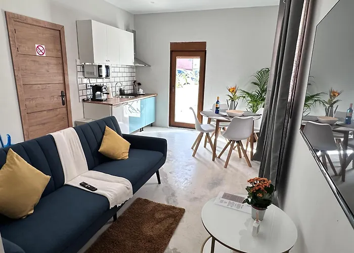 Euphorbia 洛斯瑟罗斯