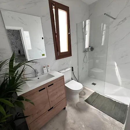 Euphorbia דירה לוס סילוס