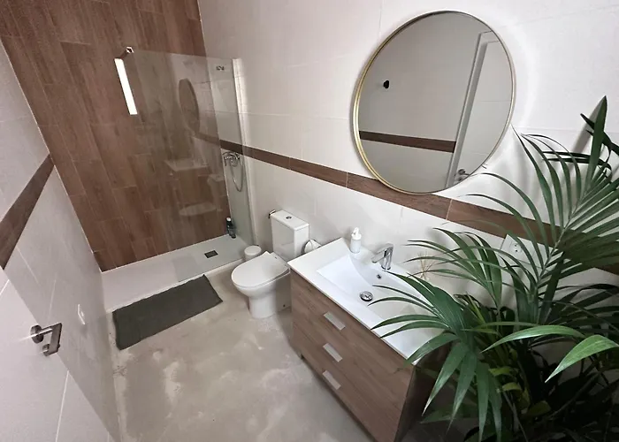 Euphorbia Apartament