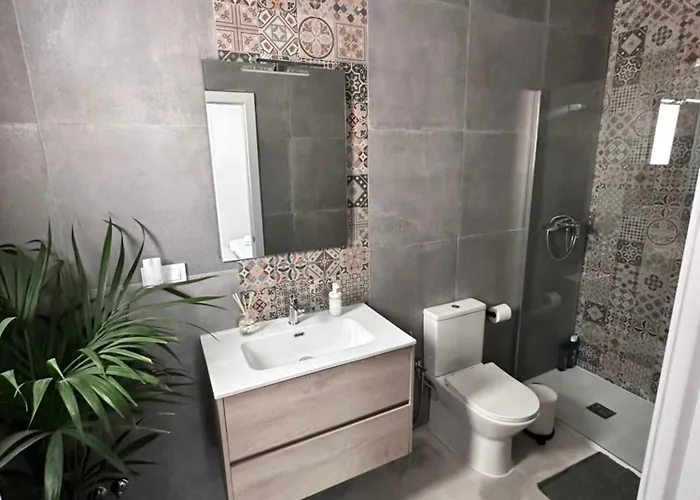 Euphorbia * Los Silos