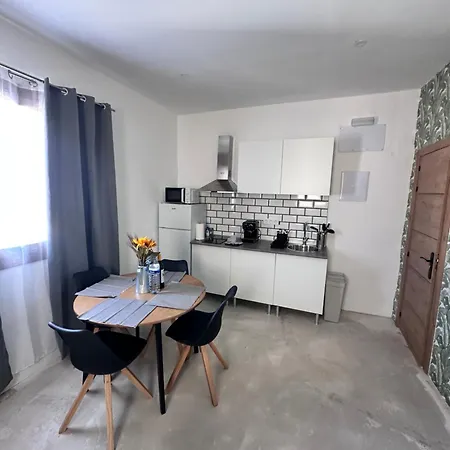 Euphorbia Apartament *