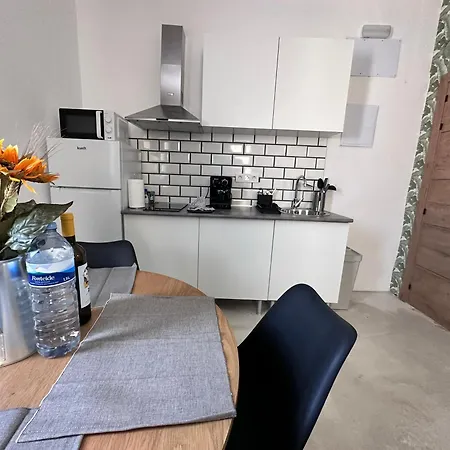 Euphorbia Apartament *