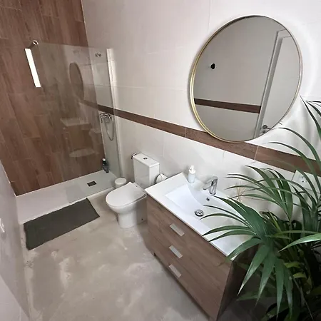 Euphorbia Apartament