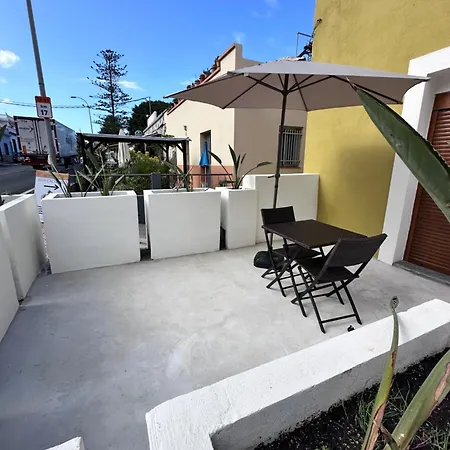 Euphorbia Διαμέρισμα