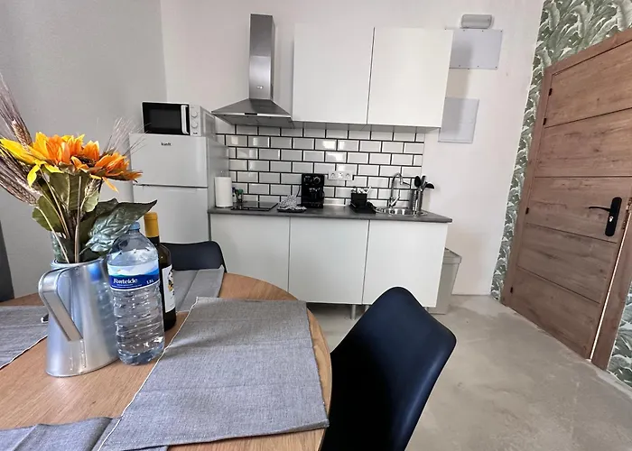 Euphorbia Appartement *