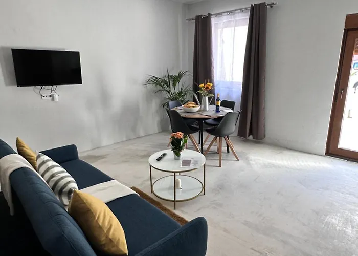 Euphorbia * Los Silos